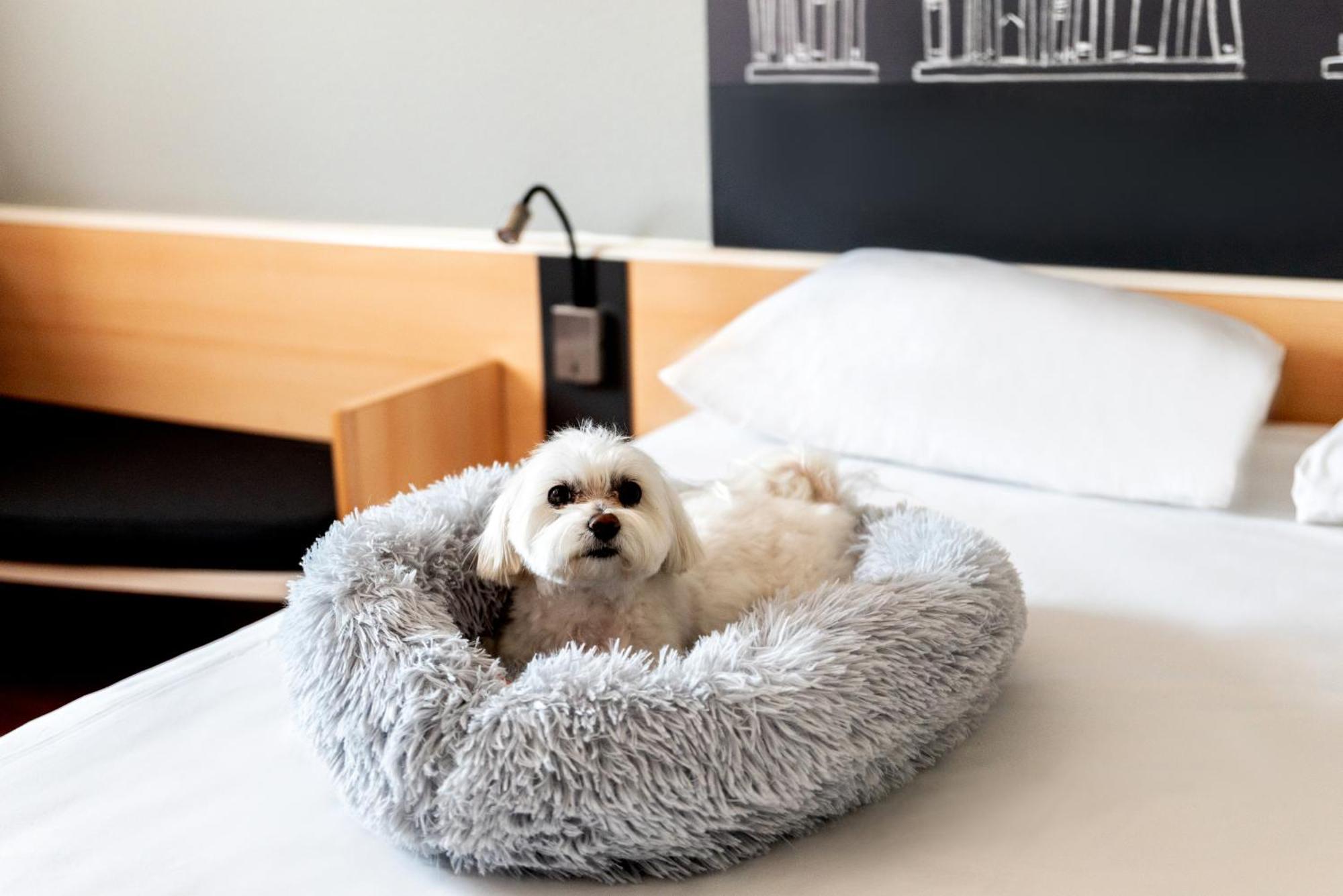 Ibis Poznan Stare Miasto ภายนอก รูปภาพ
